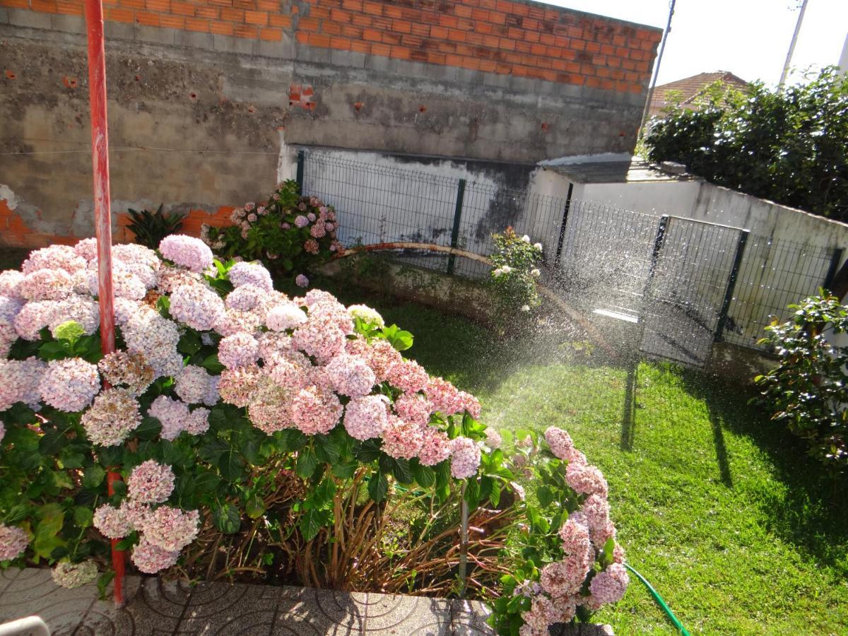 Willa Ribeiro'S House Gafanha da Nazaré Zewnętrze zdjęcie